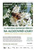 EXKURZE Za hmyzem jesenické přírody na Alojzovské louky